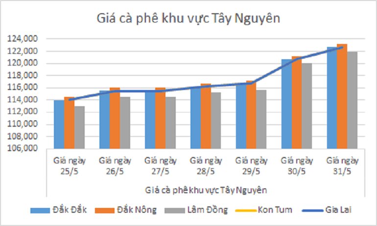 Bieu do gia ca phe ngay 31.5.2024_1717127292.png